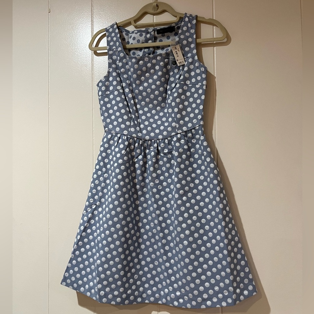 The Limited Light Blue Polka Dot Blouse